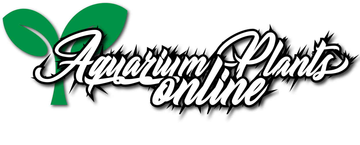 Aquarium Plants Online